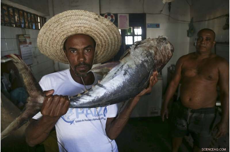 Oil Spill in Brazil Leaves Local Fishermen Stranded: Economic and Environmental Fallout