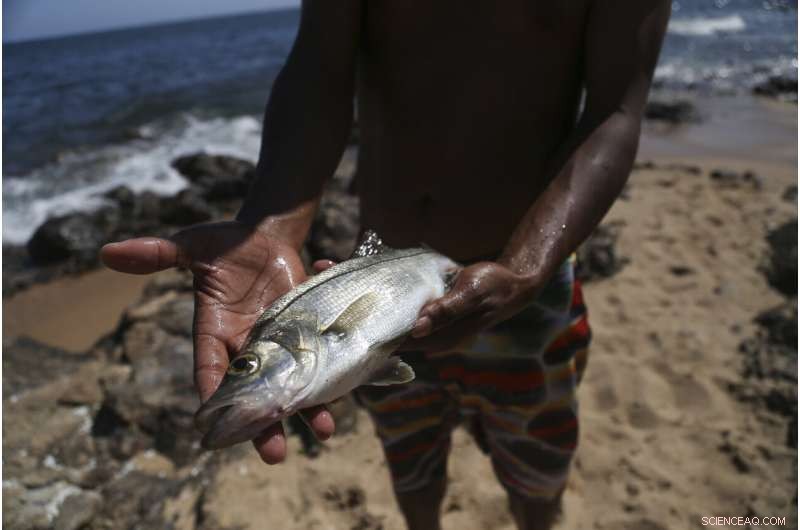 Oil Spill in Brazil Leaves Local Fishermen Stranded: Economic and Environmental Fallout