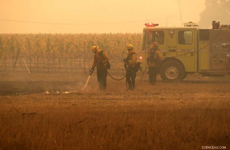 California Declares State of Emergency as Wildfires Rage in Sonoma