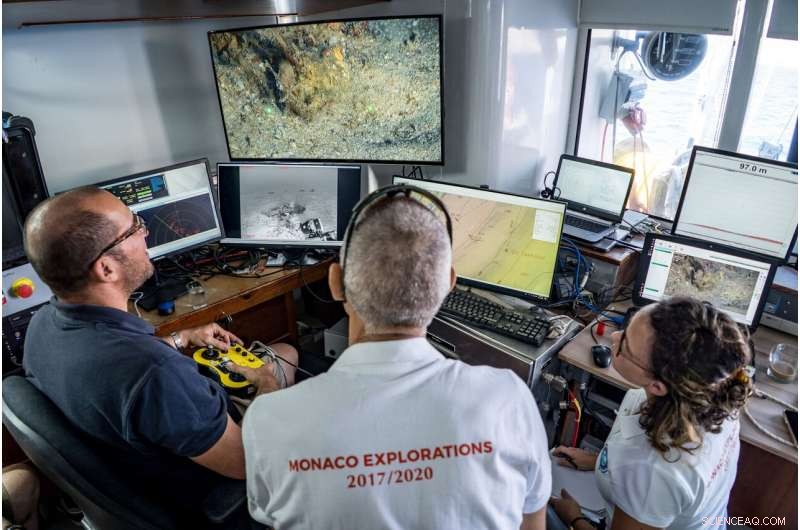 Deep Red Sea Reefs: Unveiling the Twilight Zone s Coral Food Web