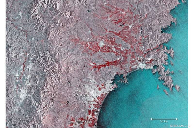 Monitoring Typhoon Hagibis from Orbit: Sentinel‑1 Satellite Radar Insights