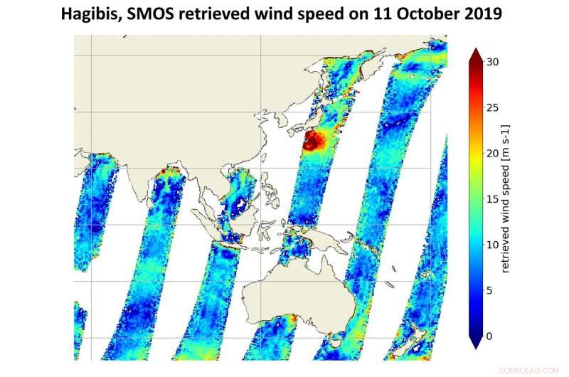 Monitoring Typhoon Hagibis from Orbit: Sentinel‑1 Satellite Radar Insights