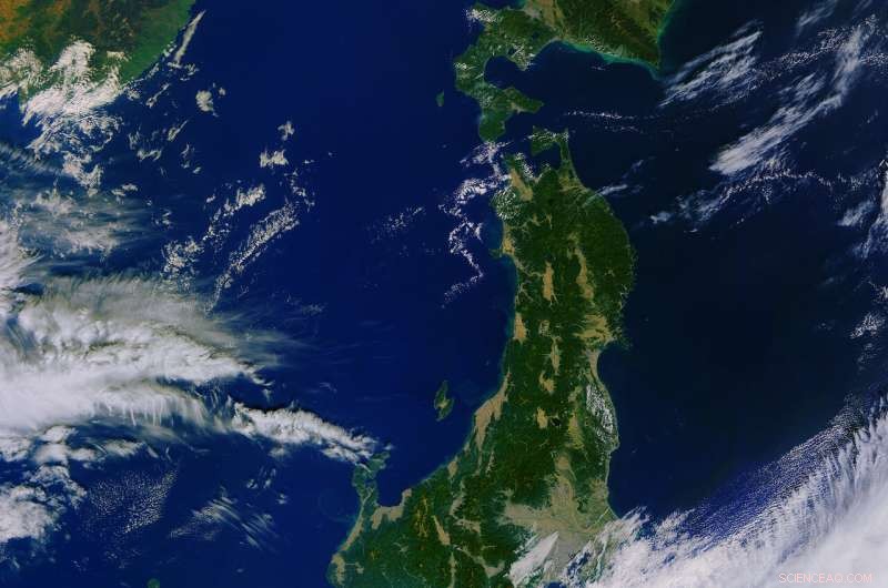 Monitoring Typhoon Hagibis from Orbit: Sentinel‑1 Satellite Radar Insights