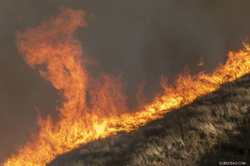 California Wildfires Escalate: New Blazes Rage Amid Powerful Winds