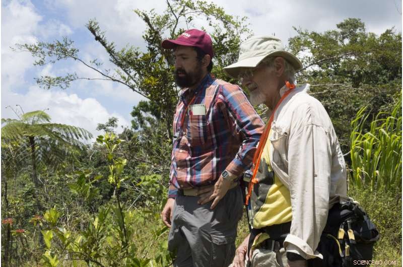 Assessing the Diverse Impact of Hurricane Maria on Puerto Rican Coffee Farms