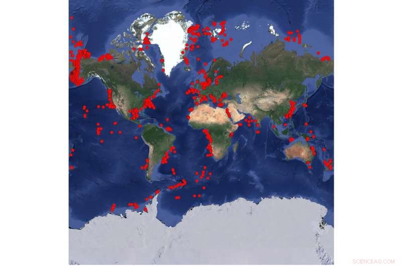 Comprehensive Ocean Floor Respiration Map Advances Global Carbon Cycle Understanding