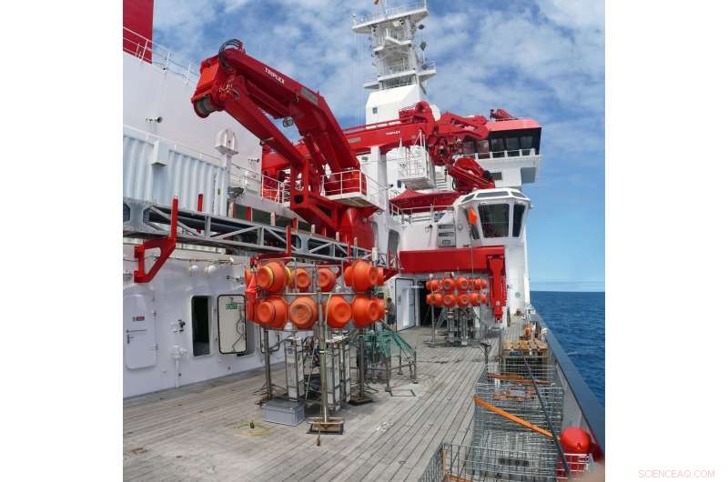 Comprehensive Ocean Floor Respiration Map Advances Global Carbon Cycle Understanding