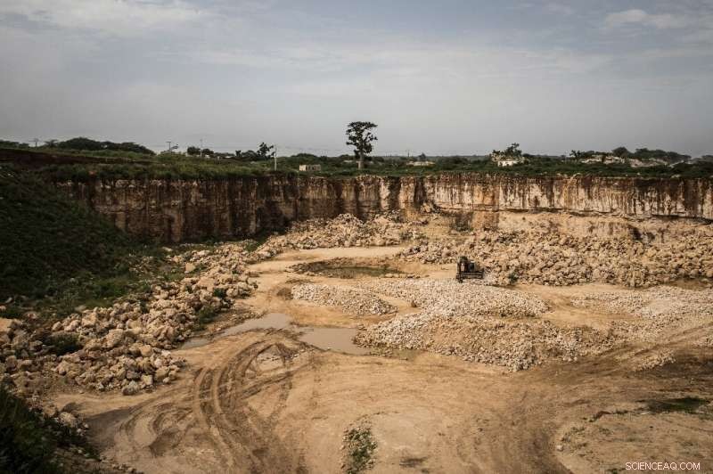 Senegal s Baobab Forest Lost to Mining: The Vanishing Landscape