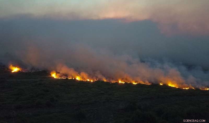 Massive Wildfires Devastate Brazil s Pantanal Wetlands