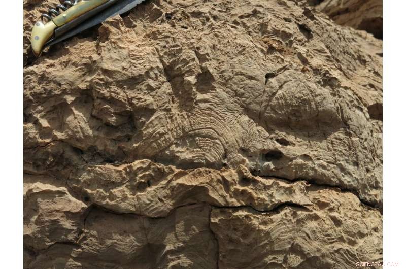 Ancient Rocks Reveal New Insights into Earth s Early Oxygen History