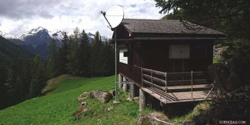 Seismology as a Peacekeeping Tool