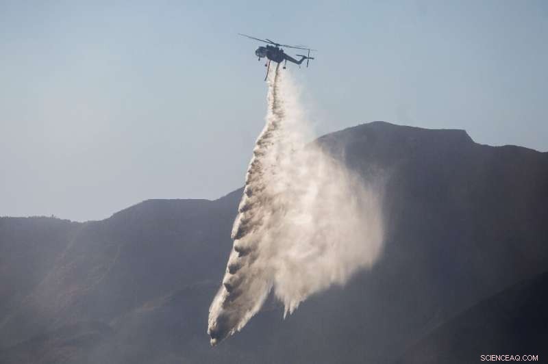 California Wildfire Expands to 9,000 Acres as Firefighters Tackle Multiple Blazes