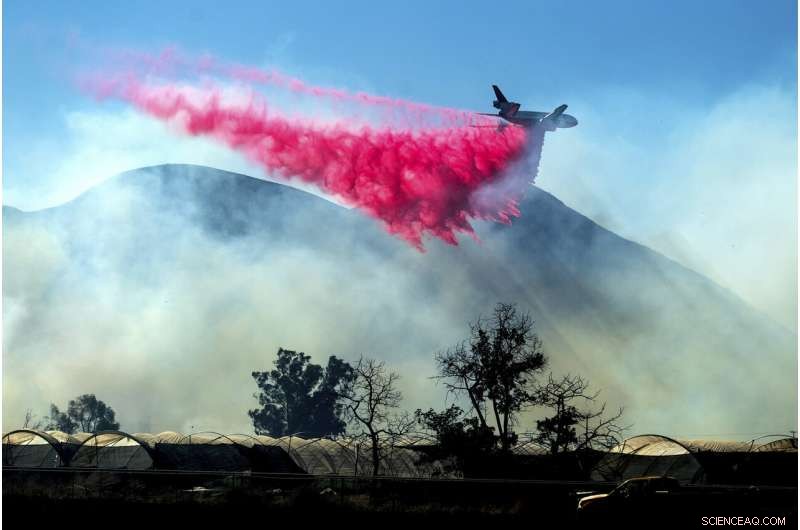 Firefighters Confront Final Stubborn Blaze in Southern California