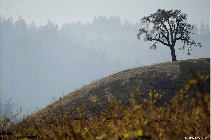 Firefighters Confront Final Stubborn Blaze in Southern California
