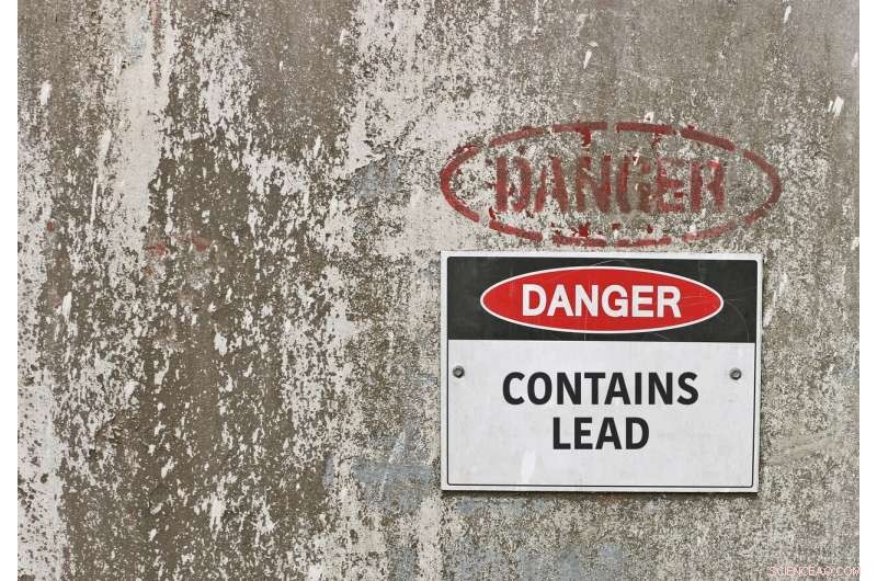 Amending Soil: A Proven Strategy to Cut Childhood Lead Exposure