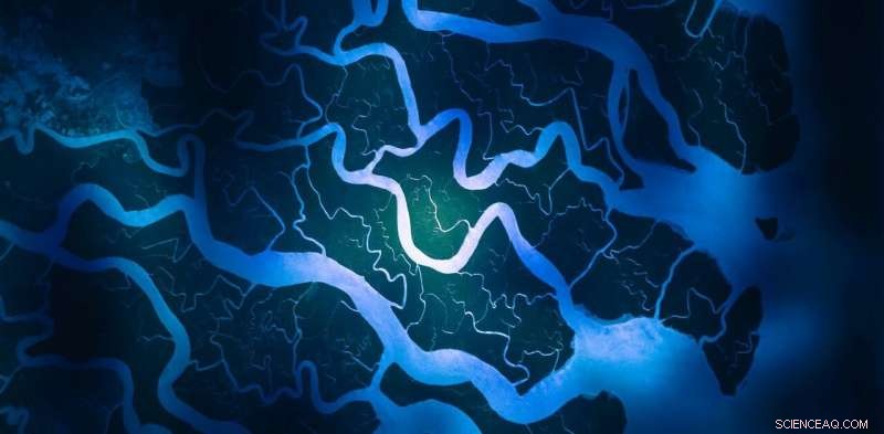 River Deltas Face Crisis: Millions at Risk of Drowning