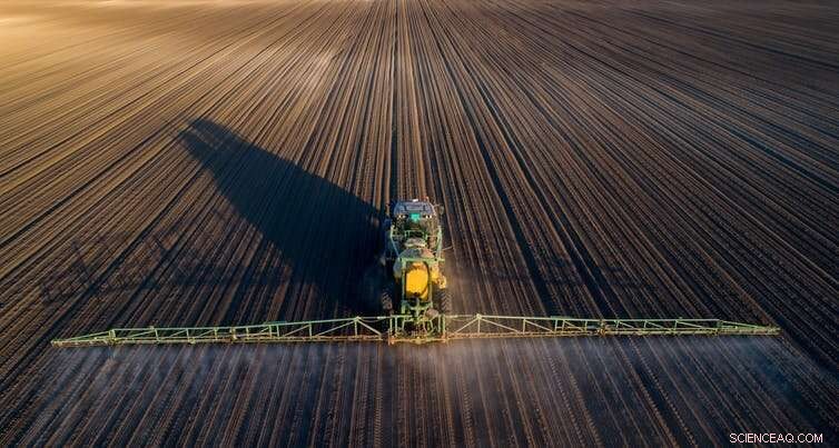 Reconnecting with Food & Community: Essential Steps Toward a Sustainable Future