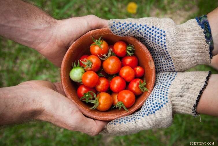 Reconnecting with Food & Community: Essential Steps Toward a Sustainable Future