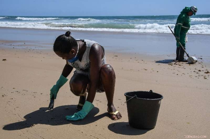 Brazil Urgently Cleans Oil-Contaminated Beaches Ahead of Peak Tourist Season