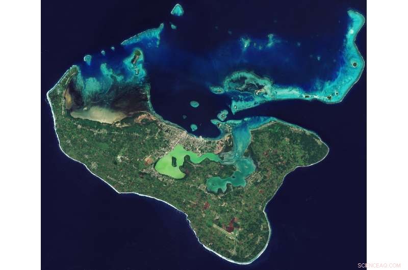 Satellites: Essential Tools for Monitoring Ocean Carbon Levels