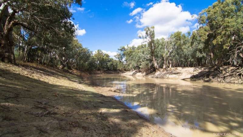 ANU Expert Urges Australian Government to Declare Water Emergency for Long-Term Solutions