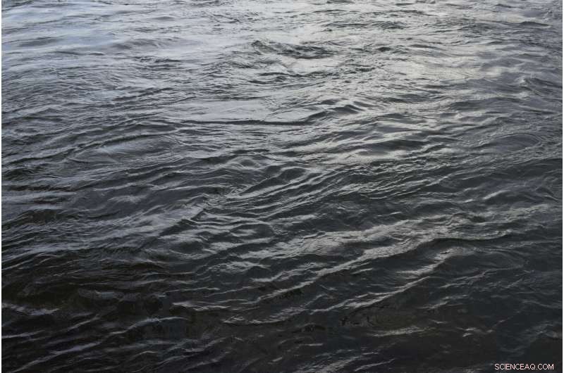 Lead Levels in Certain Canadian Water Sources Exceed Flint’s, New Investigation Finds