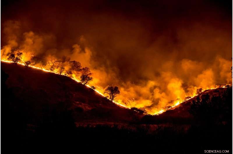 Most Californians Refuse to Fund Wildfire Prevention, Study Finds