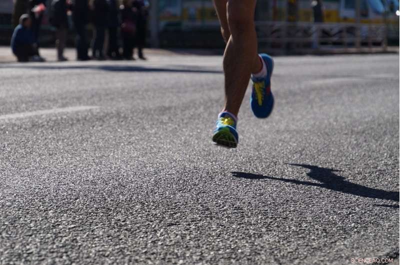 Tokyo Marathon Relocated to Sapporo to Combat Rising Heat: Expert Physiologist Weighs In
