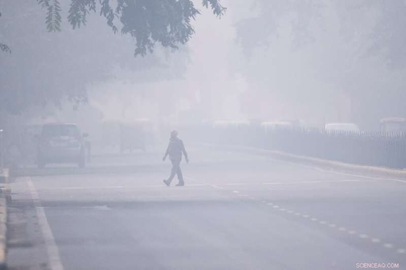 India s Supreme Court Orders Nationwide Ban on Stubble Burning Amid Delhi s Severe Smog Crisis