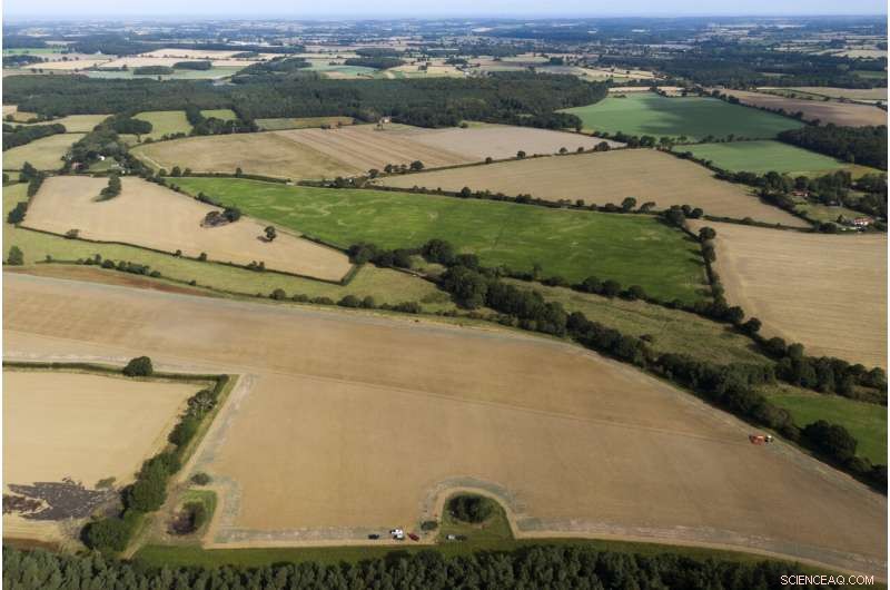 Reviving the World s Buried Wetlands: A Global Restoration Initiative