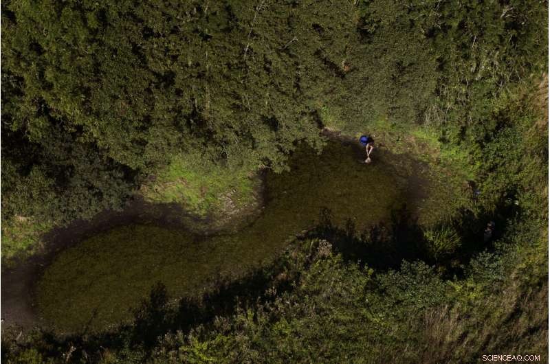 Reviving the World s Buried Wetlands: A Global Restoration Initiative