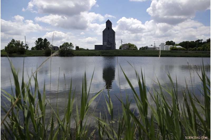 Reviving the World s Buried Wetlands: A Global Restoration Initiative