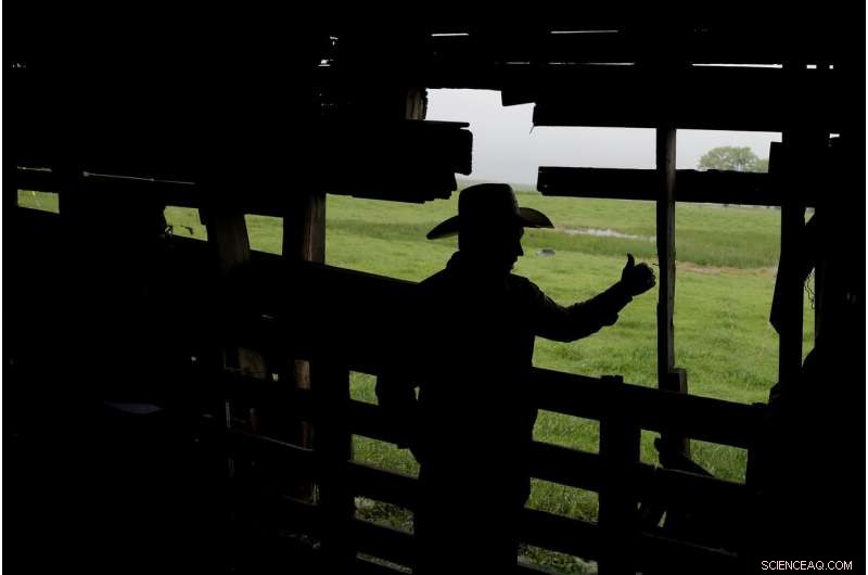 Reviving the World s Buried Wetlands: A Global Restoration Initiative