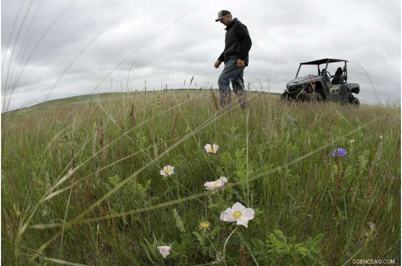 Reviving the World s Buried Wetlands: A Global Restoration Initiative