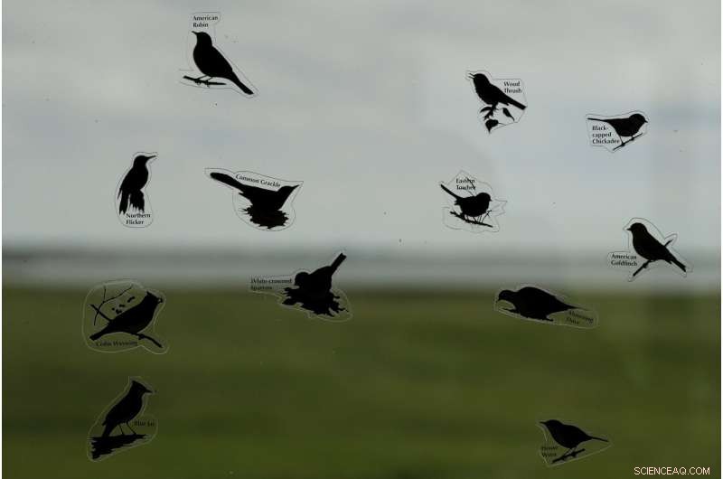 Reviving the World s Buried Wetlands: A Global Restoration Initiative