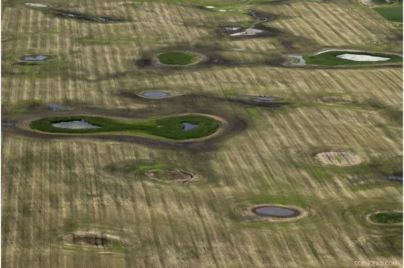 Reviving the World s Buried Wetlands: A Global Restoration Initiative