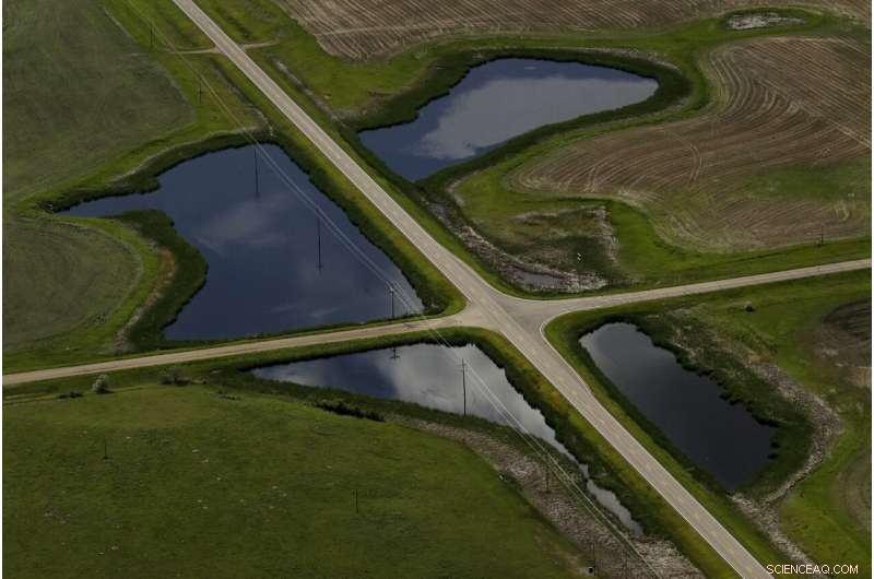 Reviving the World s Buried Wetlands: A Global Restoration Initiative