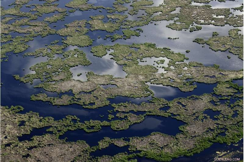 Reviving the World s Buried Wetlands: A Global Restoration Initiative