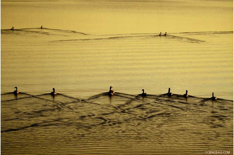 Reviving the World s Buried Wetlands: A Global Restoration Initiative