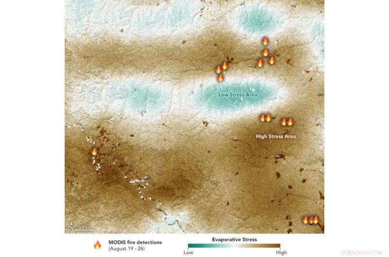 Drought-Strained Amazon Forests Accelerate Wildfire Spread