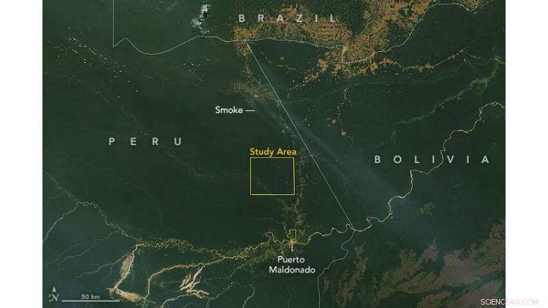 Drought-Strained Amazon Forests Accelerate Wildfire Spread