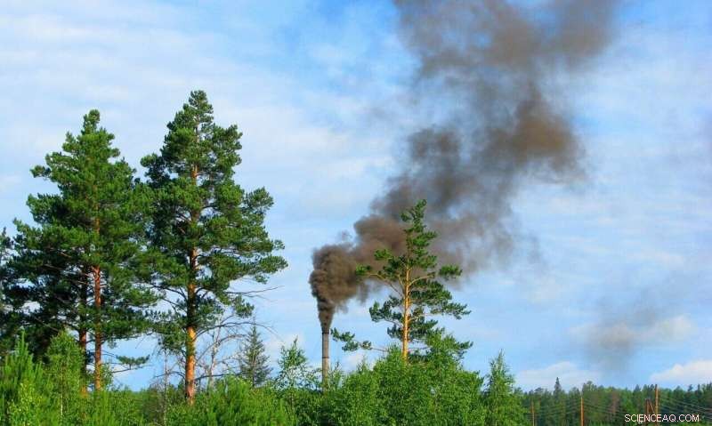 Plants Outperform Technology in Reducing Air Pollution, New Study Reveals