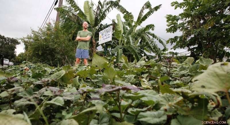 Sustainable Urban Living: Mastering Self-Sufficiency in Major US Cities