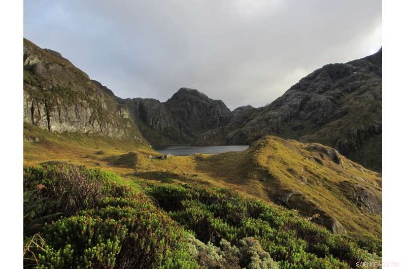 New Zealand Enacts Landmark Climate Change Law to Tackle Global Warming