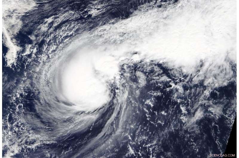 NASA Satellite Images Reveal Typhoon Halong s Distinct Boxing-Glove Shape