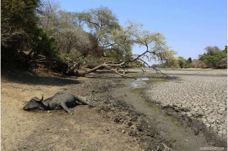 Severe Drought Strikes Southern Africa, Millions Face Food Shortages