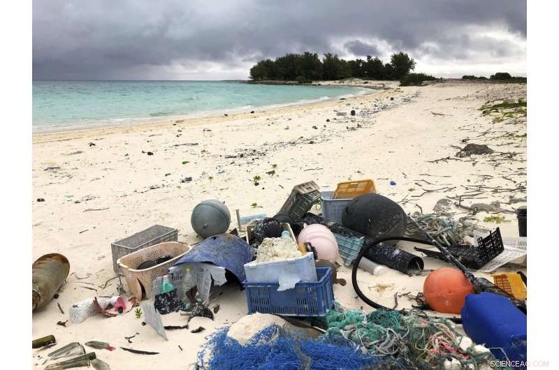 Pacific Bird Refuge Faces Rising Threat from Expanding Ocean Garbage Patch
