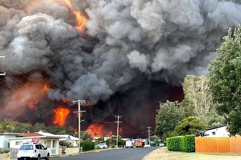 Australian Firefighters Battle Uncharted Territory Amid East Coast Bushfire Crisis