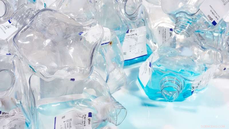Scientists Share Proven Ways to Reduce Plastic Use