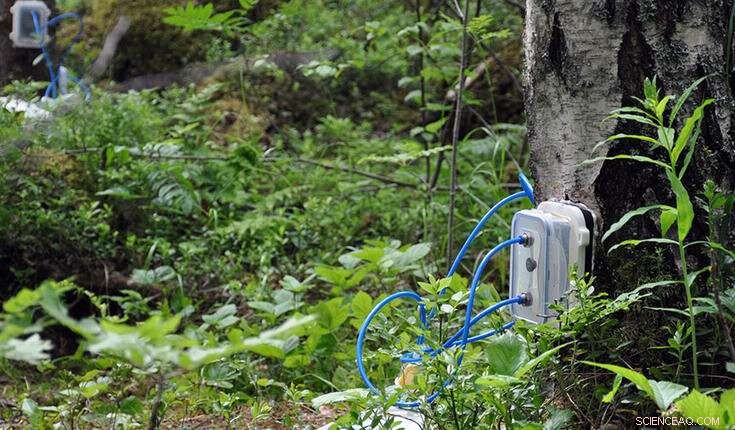 Unexpected Nitrous Oxide Emissions from Northern Forests Reveal Key Climate Insights